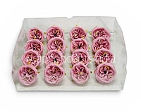 Pink Ranunculus Flowers