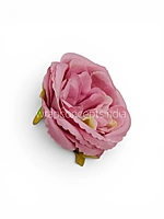 Pink Ranunculus Flowers