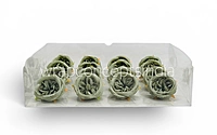 Sage Green Ranunculus