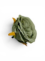 Sage Green Ranunculus