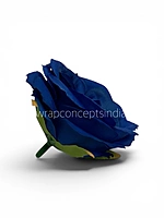 Navy Ranunculus Flowers