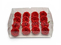 Red Ranunculus Flowers