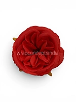 Red Ranunculus Flowers