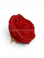 Red Ranunculus Flowers
