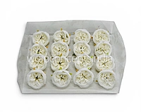 White Snow Peony