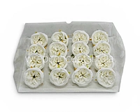 White Snow Peony