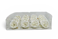 White Snow Peony
