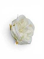 White Snow Peony
