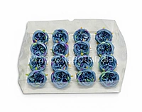 Peacock Dream Peony