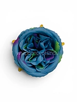 Peacock Dream Peony