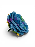 Peacock Dream Peony