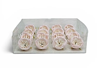 Pastel Pink & Cream Peony