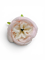 Pastel Pink & Cream Peony