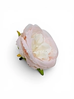Pastel Pink & Cream Peony