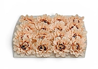 Peach Soufflé Dahlia
