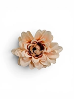 Peach Soufflé Dahlia