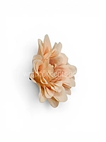 Peach Soufflé Dahlia