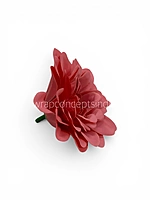 Raspberry Soufflé Dahlia
