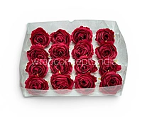 Red Rose Floral Heads