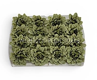 Sage Green Soufflé Dahlia