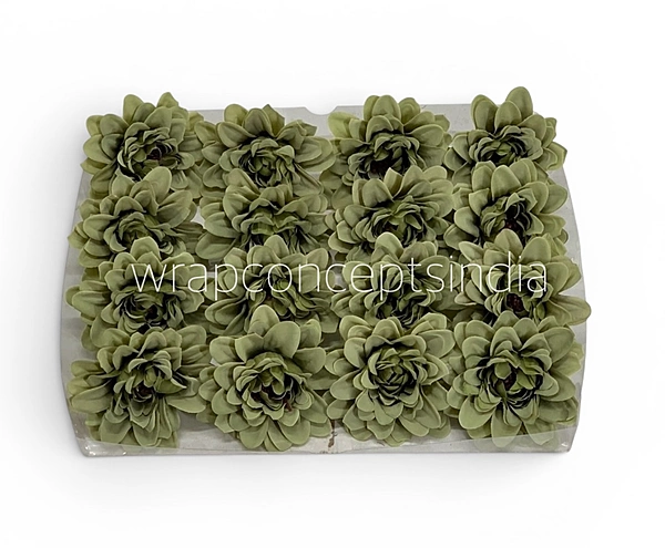 Sage Green Soufflé Dahlia