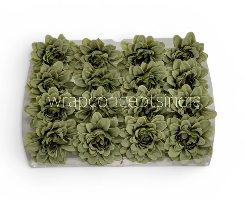 Sage Green Soufflé Dahlia