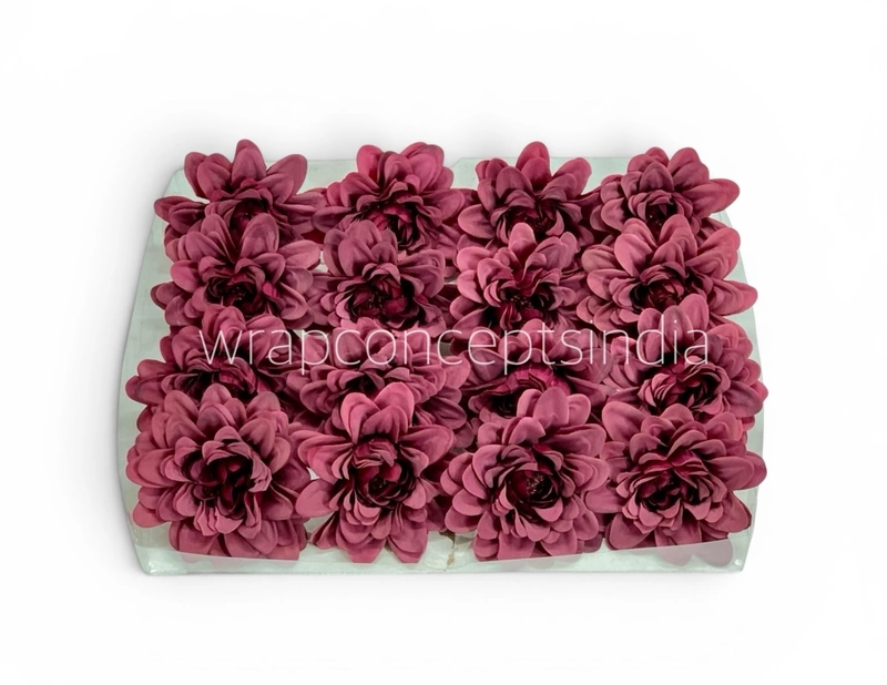 Burgundy Soufflé Dahlia