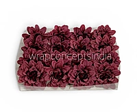 Burgundy Soufflé Dahlia