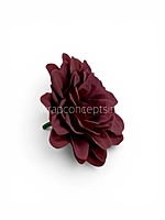 Burgundy Soufflé Dahlia