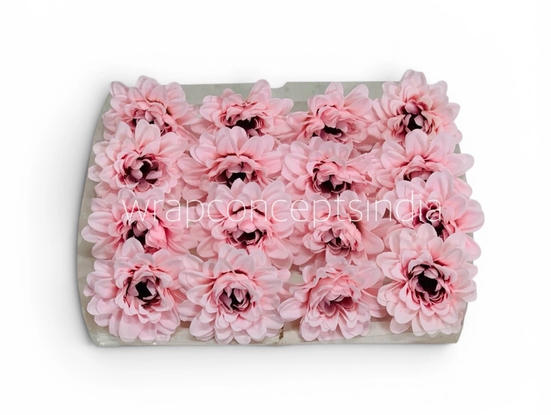 Baby Pink Soufflé Dahlia