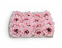 Baby Pink Soufflé Dahlia