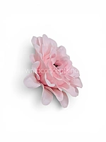 Baby Pink Soufflé Dahlia