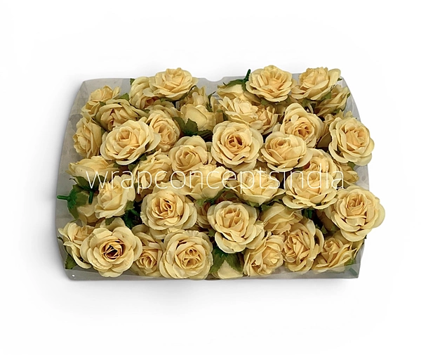 Soft Butter Rose