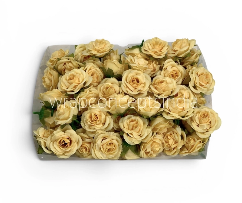 Soft Butter Rose