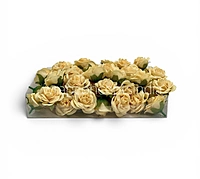 Soft Butter Rose