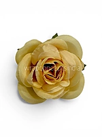 Soft Butter Rose