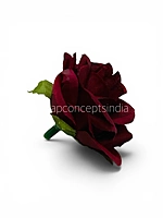 Burgundy Whisper Rose