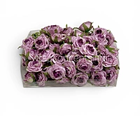 Lilac Mist Rose