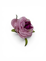 Lilac Mist Rose