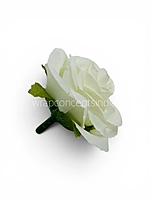 Vanilla Blossom Rose