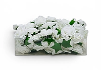 White Medium Foam Rose with Leaves