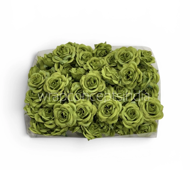 Fresh Fern Rose