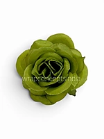 Fresh Fern Rose