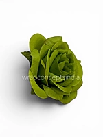 Fresh Fern Rose
