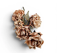 Heirloom Rose Collection