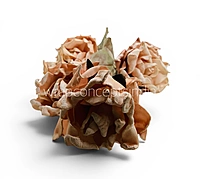 Heirloom Rose Collection