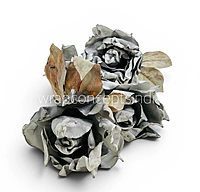 Heirloom Rose Collection