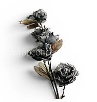 Heirloom Rose Collection