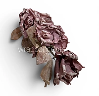 Heirloom Rose Collection