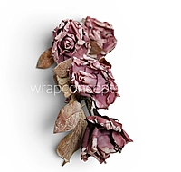 Heirloom Rose Collection